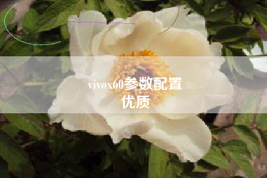 vivox60参数配置
优质  第87张