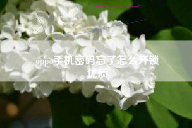 oppo手机密码忘了怎么开锁
优质  第110张