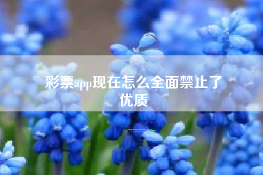 彩票app现在怎么全面禁止了
优质  第86张