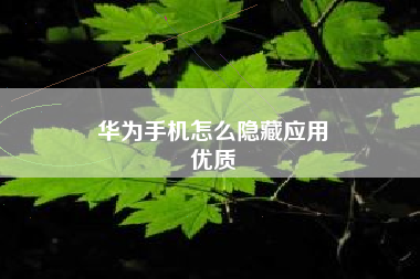 华为手机怎么隐藏应用
优质  第85张