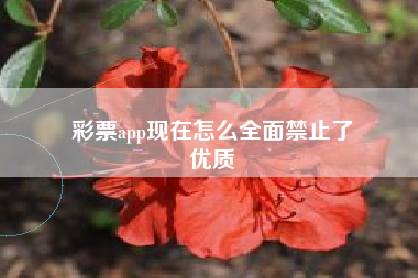 彩票app现在怎么全面禁止了
优质  第84张