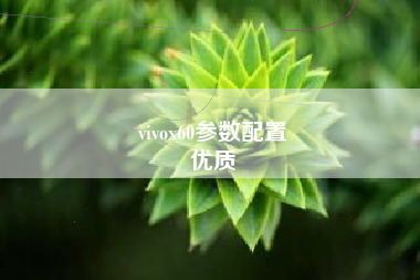 vivox60参数配置
优质  第86张