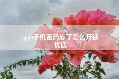 oppo手机密码忘了怎么开锁
优质  第109张