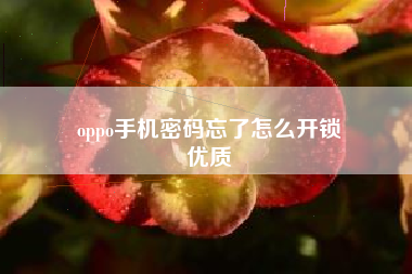 oppo手机密码忘了怎么开锁
优质  第108张