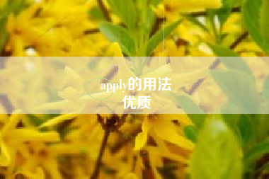 apply的用法
优质  第92张