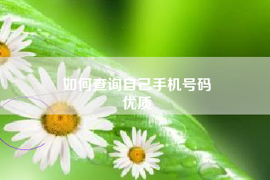 如何查询自己手机号码
优质  第88张