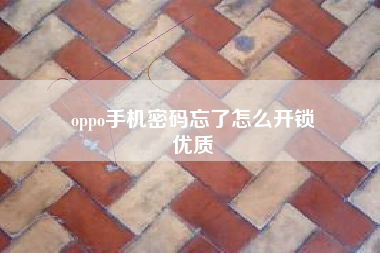 oppo手机密码忘了怎么开锁
优质  第107张