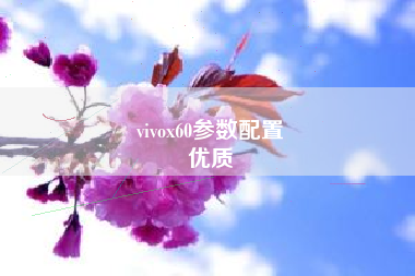 vivox60参数配置
优质  第85张