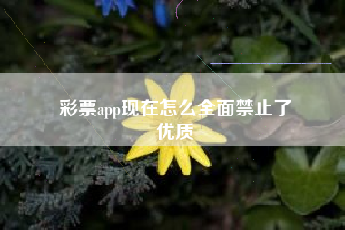 彩票app现在怎么全面禁止了
优质  第82张