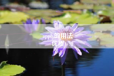 apply的用法
优质  第91张