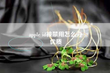 apple id被禁用怎么办
优质  第65张