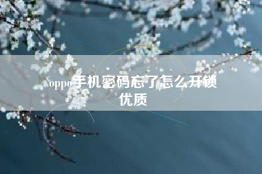 oppo手机密码忘了怎么开锁
优质  第106张