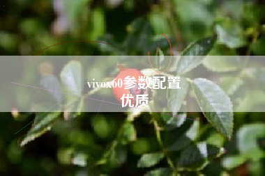 vivox60参数配置
优质  第84张