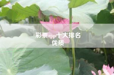 彩票app十大排名
优质  第102张