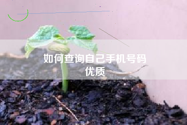 如何查询自己手机号码
优质  第87张