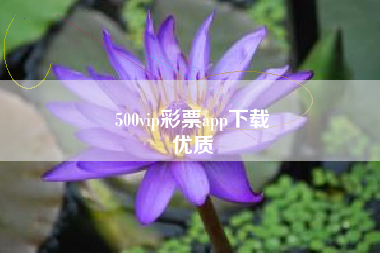 500vip彩票app下载
优质  第115张