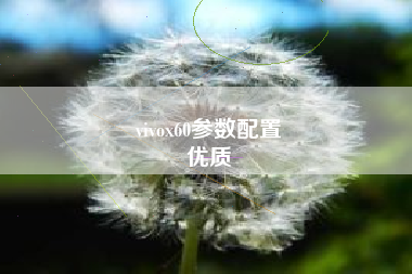 vivox60参数配置
优质  第82张