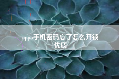 oppo手机密码忘了怎么开锁
优质  第104张