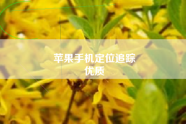 苹果手机定位追踪
优质  第57张