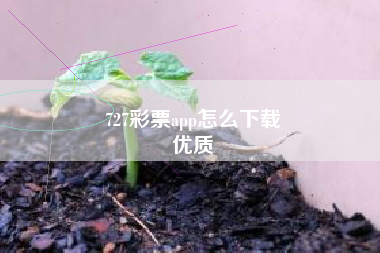 727彩票app怎么下载
优质  第75张