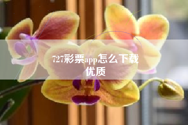 727彩票app怎么下载
优质  第73张