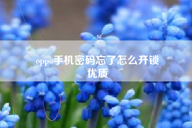 oppo手机密码忘了怎么开锁
优质  第103张