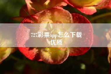 727彩票app怎么下载
优质  第72张