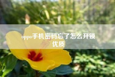 oppo手机密码忘了怎么开锁
优质  第102张