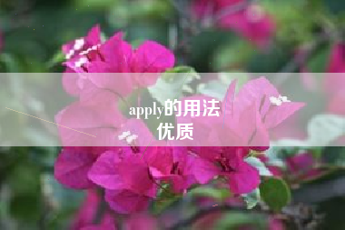 apply的用法
优质  第88张