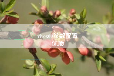 vivox60参数配置
优质  第78张