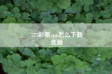 727彩票app怎么下载
优质  第71张