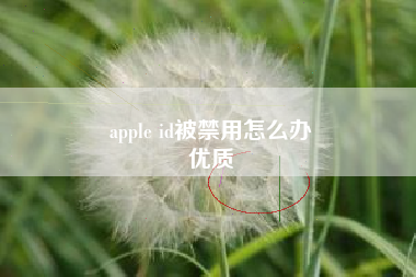 apple id被禁用怎么办
优质  第61张