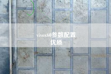 vivox60参数配置
优质  第77张