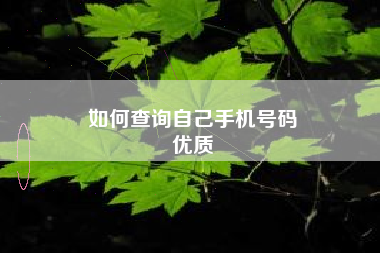 如何查询自己手机号码
优质  第82张