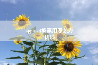 apple id被禁用怎么办
优质  第60张