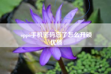 oppo手机密码忘了怎么开锁
优质  第98张