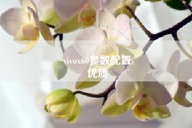 vivox60参数配置
优质  第76张