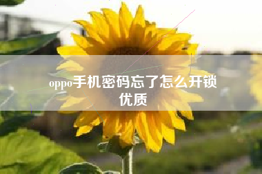 oppo手机密码忘了怎么开锁
优质  第97张