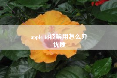 apple id被禁用怎么办
优质  第58张