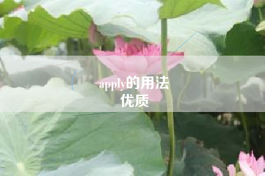 apply的用法
优质  第85张