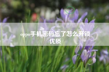 oppo手机密码忘了怎么开锁
优质  第95张