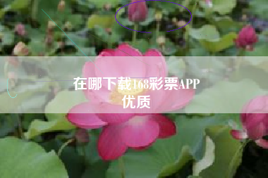 在哪下载168彩票APP
优质  第108张