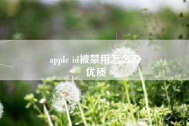 apple id被禁用怎么办
优质  第57张