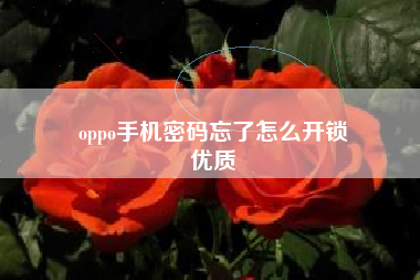 oppo手机密码忘了怎么开锁
优质  第94张