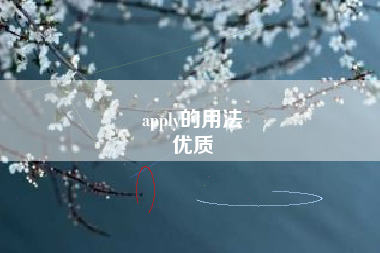 apply的用法
优质  第83张