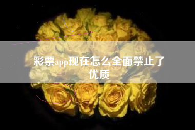 彩票app现在怎么全面禁止了
优质  第72张