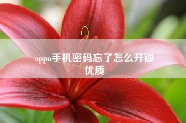 oppo手机密码忘了怎么开锁
优质  第93张