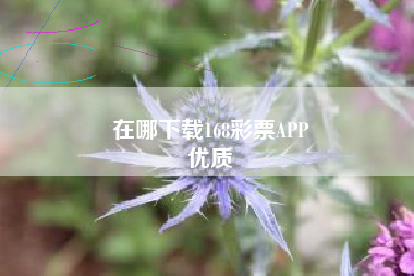 在哪下载168彩票APP
优质  第107张