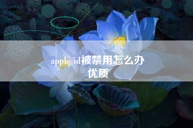 apple id被禁用怎么办
优质  第56张