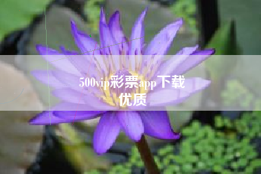 500vip彩票app下载
优质  第104张